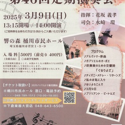 チラシサンプル